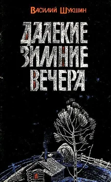 Василий Шукшин Далекие зимние вечера. Рассказы обложка книги