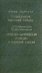 Эдвин Вудхолл - Разведчики мировой войны. Германо-австрийская разведка в царской России