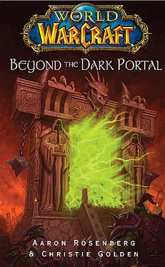 Aaron Rosenberg Beyond the Dark Portal обложка книги