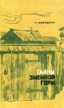 Петр Бородкин Тайны Змеиной горы обложка книги