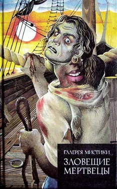 Адольфо де Кастро Электрический палач обложка книги
