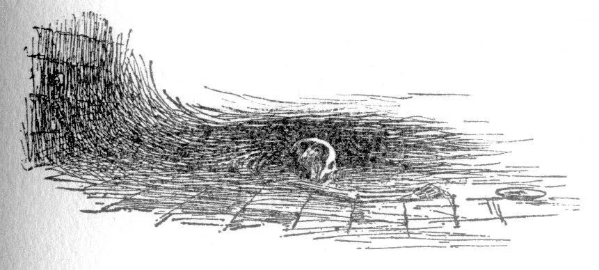 CHAINED TO IT WAS A GAUNT SKELETON Hallo suddenly exclaimed one of the - фото 15