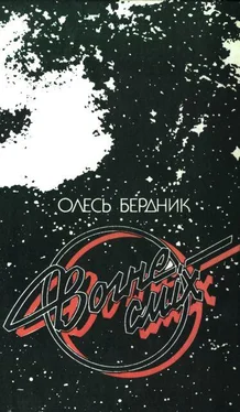 Олесь Бердник Вогнесміх обложка книги