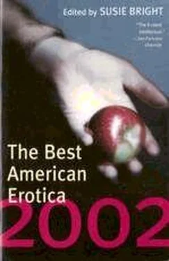 Susie Bright The Best American Erotica 2002 обложка книги