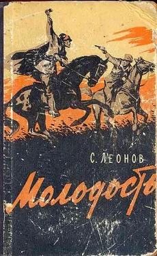 Савелий Леонов Молодость обложка книги