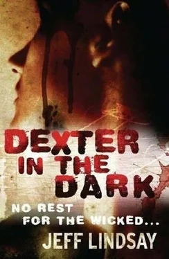 Jeffry Lindsay Dexter in the Dark обложка книги