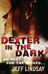 Jeffry Lindsay - Dexter in the Dark