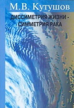 М. Кутушов Диссимметрия жизни - симметрия рака обложка книги