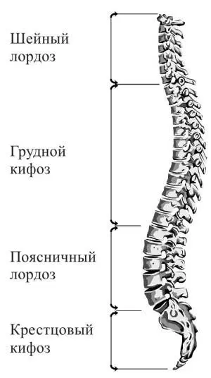 Рис 1 Все наверное не раз наблюдали с какой любовью мать берет на руки - фото 1