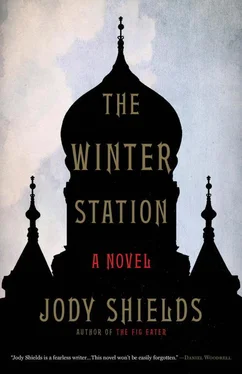 Jody Shields The Winter Station обложка книги