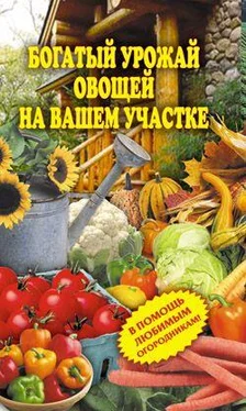 Светлана Чебаева Богатый урожай овощей на вашем участке. В помощь любимым огородникам! обложка книги