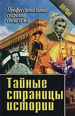 Василий Ставицкий Тайные страницы истории обложка книги