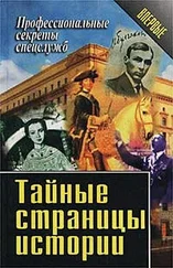 Василий Ставицкий - Тайные страницы истории