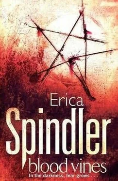 Erica Spindler Blood Vines обложка книги