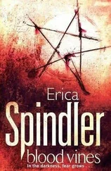 Erica Spindler - Blood Vines