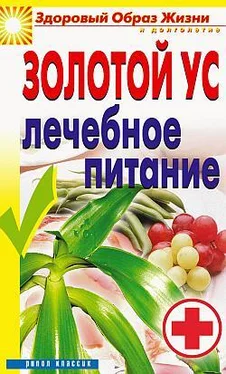 Юлия Улыбина Золотой ус. Лечебное питание обложка книги