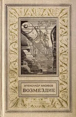 Александр Насибов Безумцы (Сборник) обложка книги