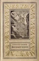 Александр Насибов - Безумцы (Сборник)