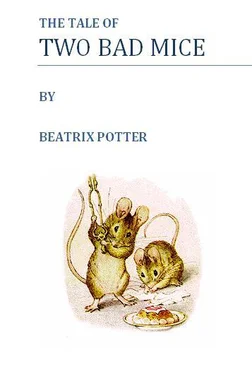 Beatrix Potter The tale of two bad mice обложка книги