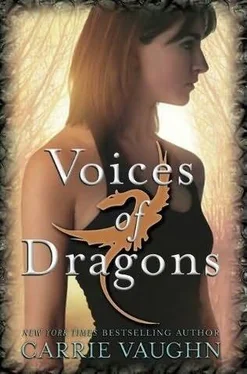 Carrie Vaughn Voices of Dragons обложка книги