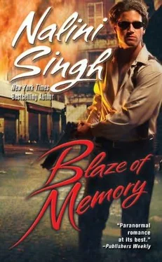 Nalini Singh Blaze of Memory обложка книги