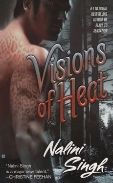 Nalini Singh Visions of Heat обложка книги