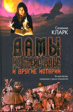 Сюзанна Кларк Дамы из Грейс-Адье и другие истории обложка книги