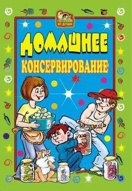 Светлана Ермакова Домашнее консервирование обложка книги