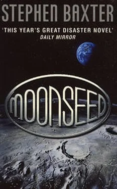 Stephen Baxter Moonseed обложка книги