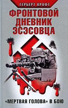 Герберт Крафт Фронтовой дневник эсэсовца. «Мертвая голова» в бою обложка книги