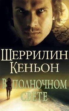 Шеррилин Кеньон В полночном свете обложка книги