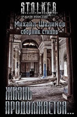 Михаил Шалимов Сборник «Жизнь продолжается» обложка книги