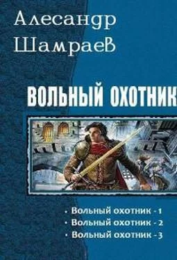 Алесандр Шамраев Вольный охотник 3 [СИ] обложка книги