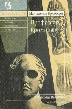 Малькольм Брэдбери Профессор Криминале обложка книги