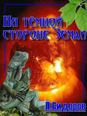 Леонид Сидоров На тёмной стороне Земли