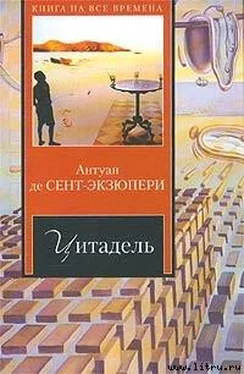 Антуан Экзюпери Цитадель обложка книги