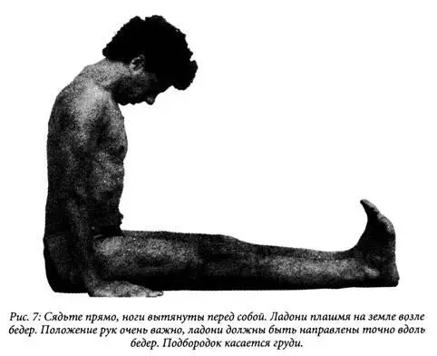 Тибетец 5 Исходное положение опора на ладони рук и подушечки пальцев ног - фото 8