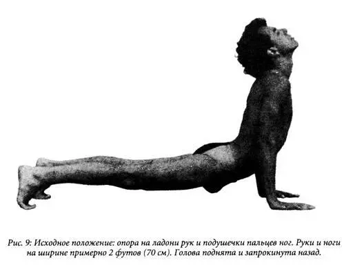 Дополнение к Пяти Тибетцам Согласно данным Питера Кэлдера Пять Тибетских - фото 10
