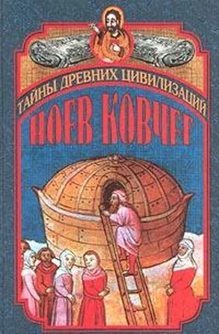 Вайолет Каммингс Ноев ковчег и Свитки Мертвого моря обложка книги