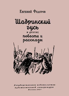 Евгений Фёдоров Шадринский гусь и другие повести и рассказы обложка книги