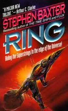 Stephen Baxter Ring обложка книги