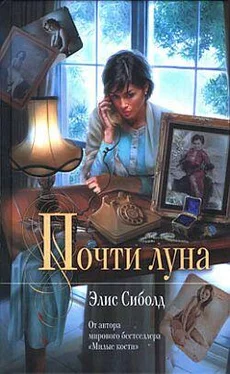 Элис Сиболд Почти луна обложка книги