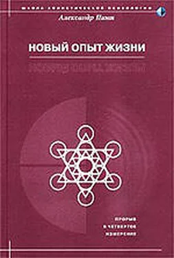 Александр Пинт Новый опыт жизни обложка книги