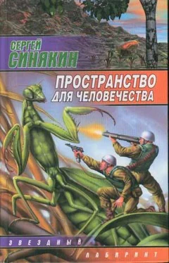 Сергей Синякин Детский портрет на фоне счастливых и грустных времен обложка книги