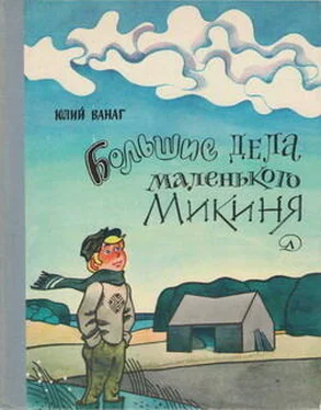 Юлий Ванаг Большие дела маленького Микиня обложка книги