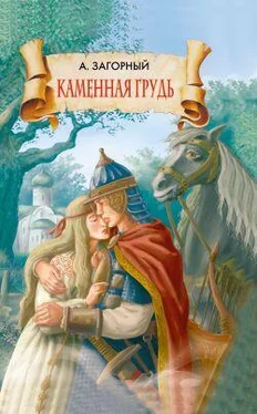 Анатолий Загорный Каменная грудь обложка книги