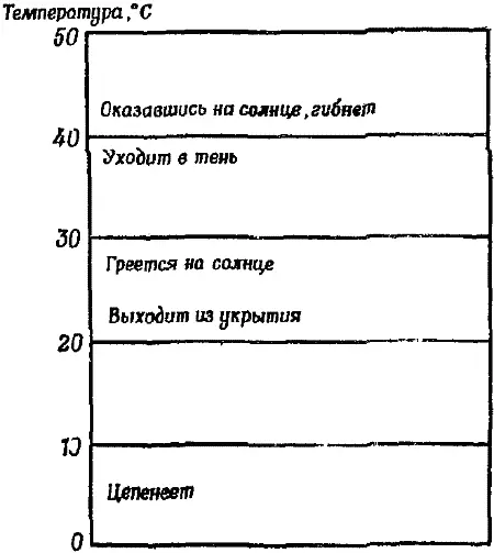 Фиг 32 Влияние температуры воздуха на активность живущей в пустыне ящерицы - фото 33