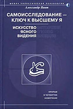 Александр Пинт Самоисследование - ключ к высшему Я. Искусство ясного видения. обложка книги