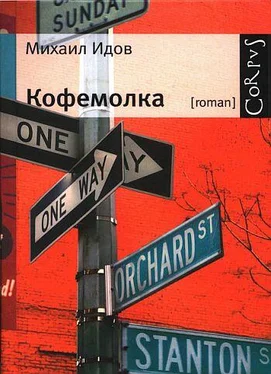 Михаил Идов Кофемолка обложка книги