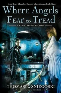 Thomas Sniegoski Where Angels Fear to Tread обложка книги